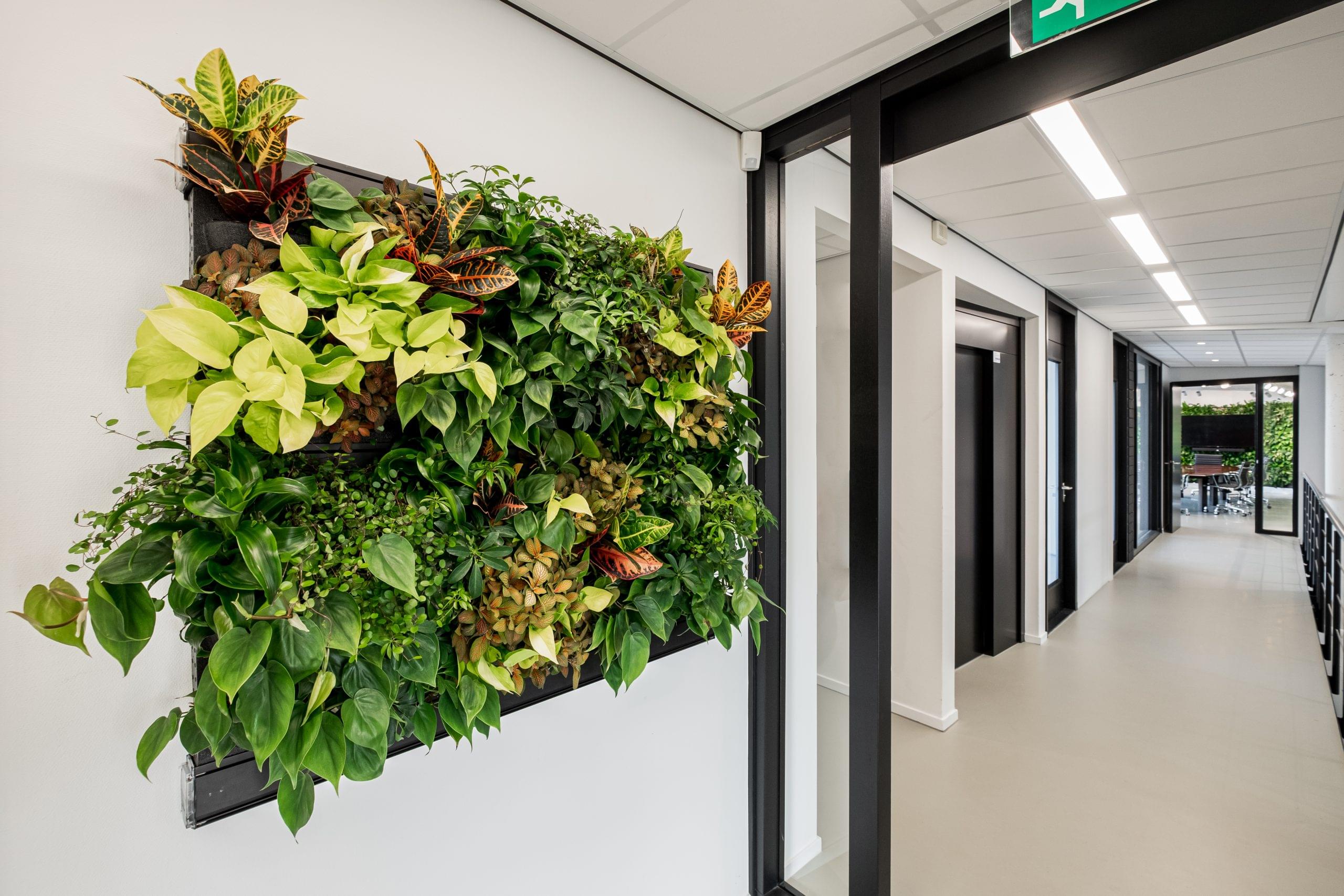 Innenraumbegrünung München